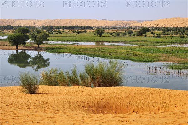 Temporary lake after rain in the oasis
