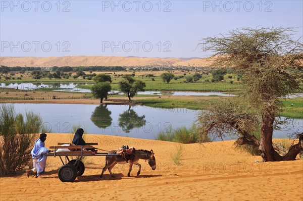 Donkey cart being pushed through the soft sand