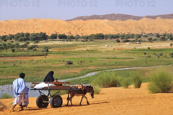 Donkey cart being pushed through the soft sand