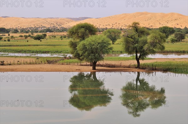 Temporary lake after rain in the oasis