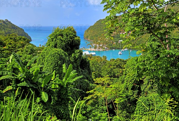 Marigot Bay near Castries