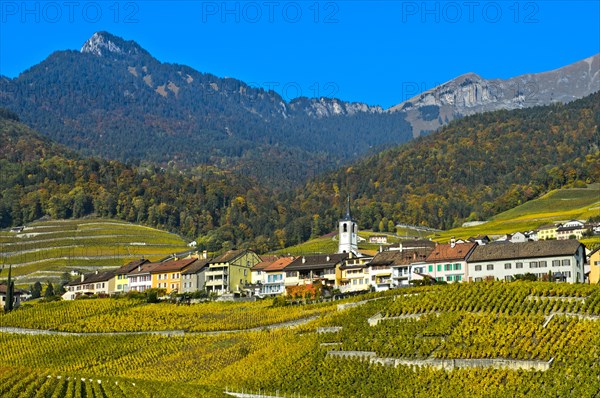 Yvorne village surrounded by vineyards in autumn