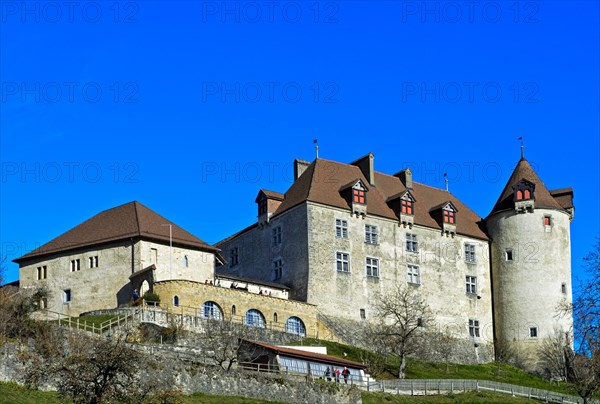 Gruyeres Castle