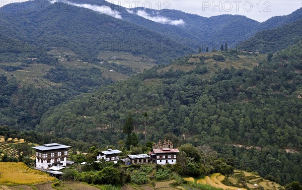 Traditional houses
