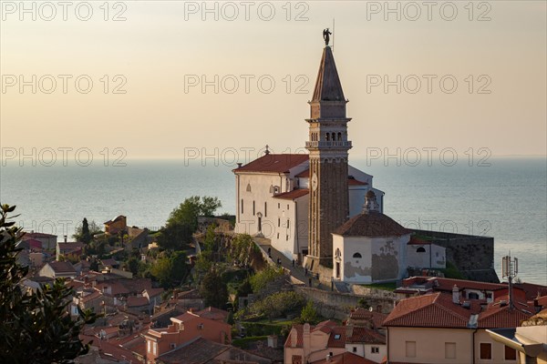 Cathedral of St. George