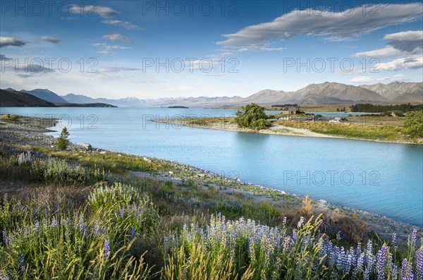 Church of the Good Shepherd at the turquoise Lake Tekapo