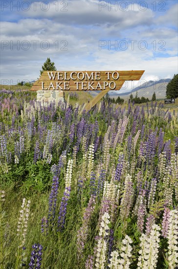 Welcome sign