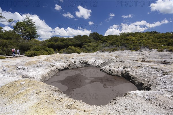 Devil's Ink Pots