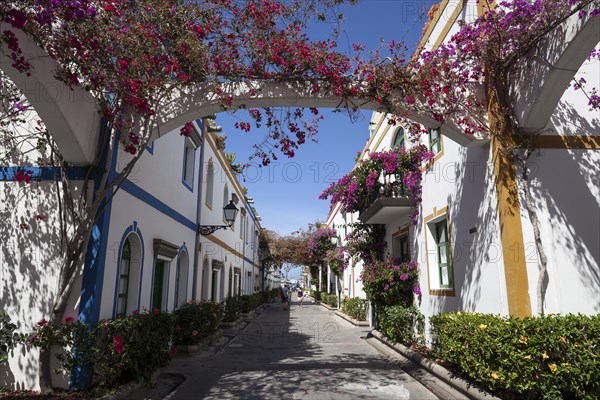 Typical alleyway in Puerto de Mogan