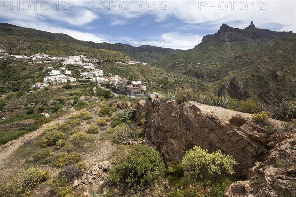 View of Tejeda and Roque Nublo