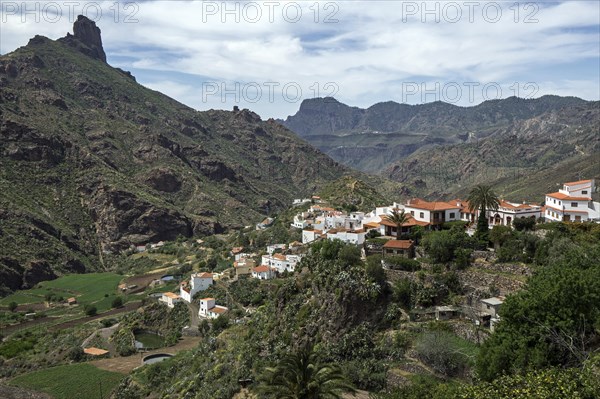 View of Tejeda