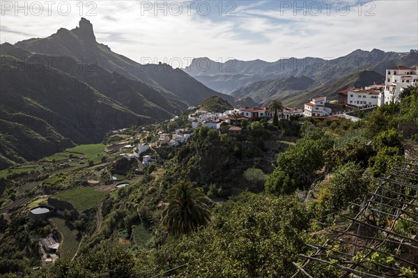 View of Tejeda