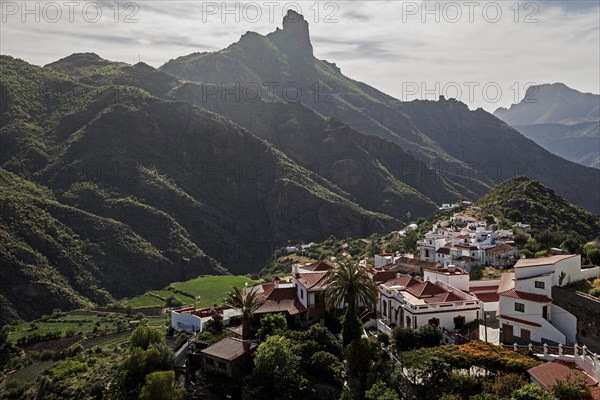 View of Tejeda