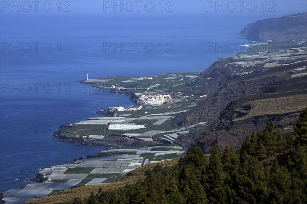 View onto banana plantations and Puerto Naos