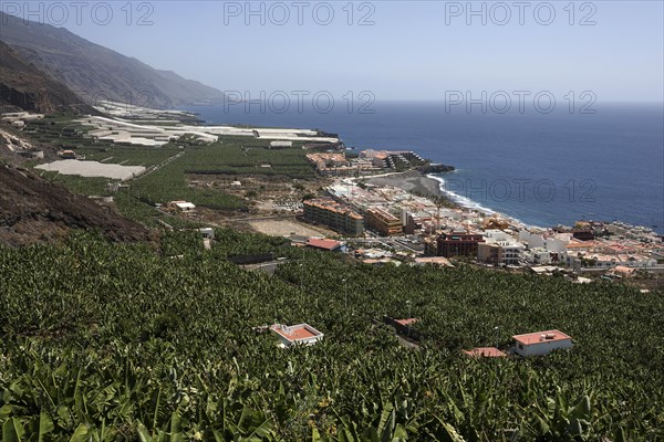 View onto banana plantations and Puerto Naos