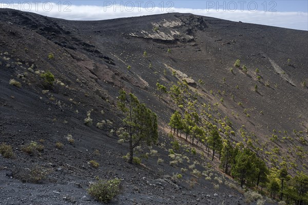 Crater of the volcano de San Antonio