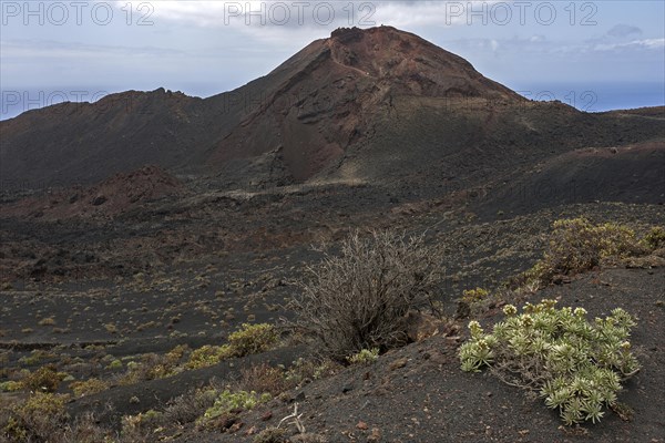 Volcano de Teneguia