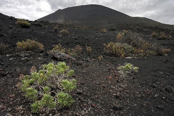 Volcanic landscape