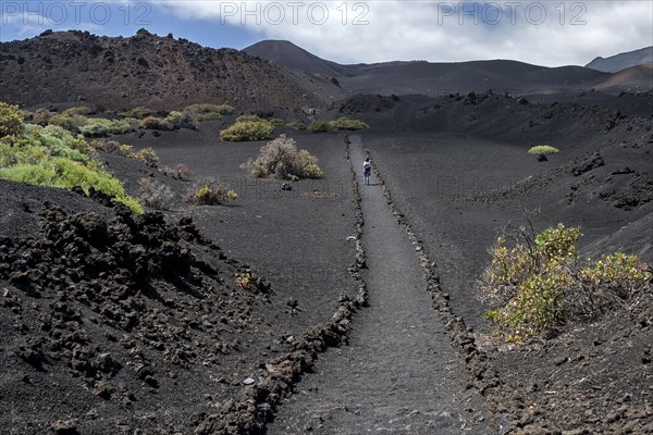 Track through the volcanic landscape with typical vegetation