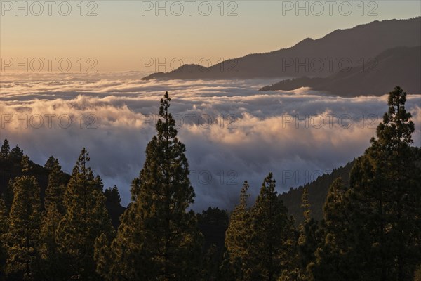 View onto Passat clouds above the Valle Aridane