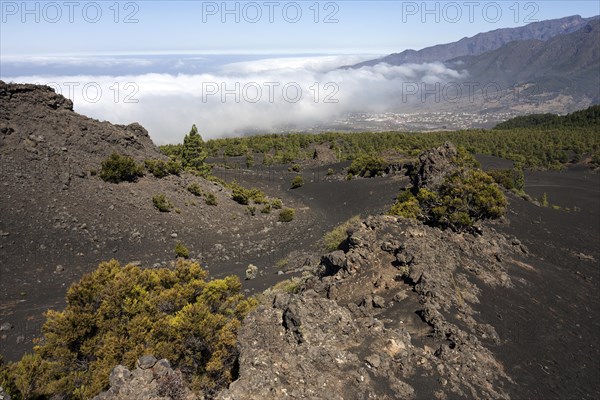 View from the Parque Natural de Cumbre Vieja towards the Valle Aridane and the Caldera de Taburiente