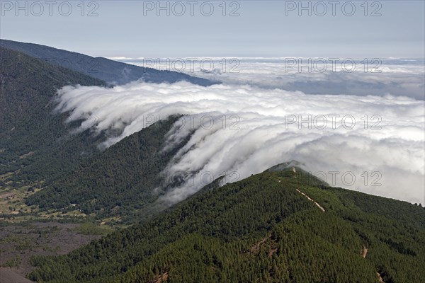 View from Pico Birigoyo onto the pine forest and the waterfall of clouds above the Cumbre Nueva