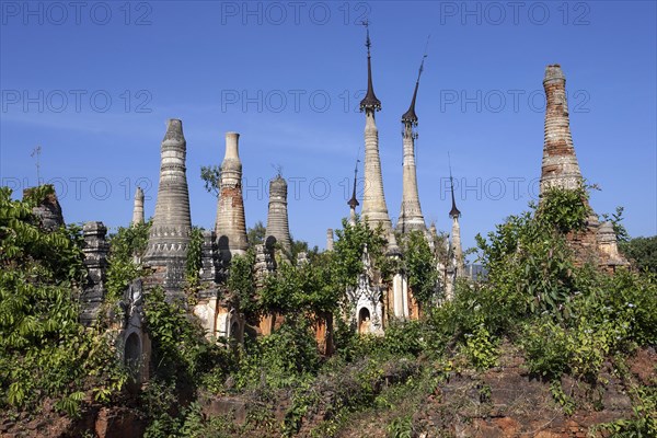 Pagoda Forest