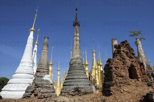 Pagoda Forest