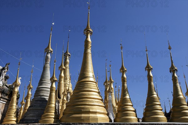 Pagoda Forest