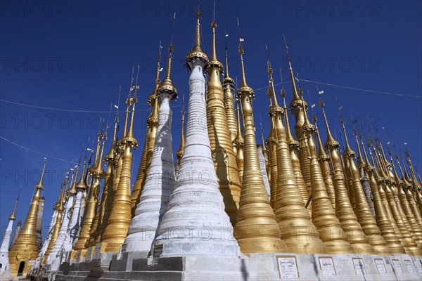 Pagoda Forest