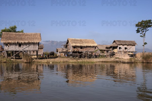 Traditional stilt houses on the Inle Lake