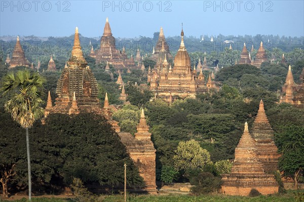View of pagodas