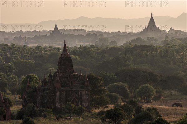 View of pagodas