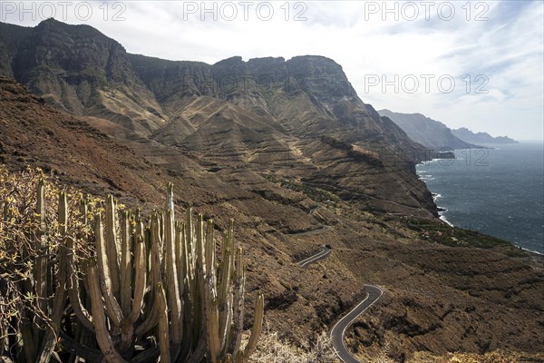 Cliffs