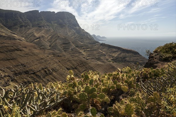 Cliffs