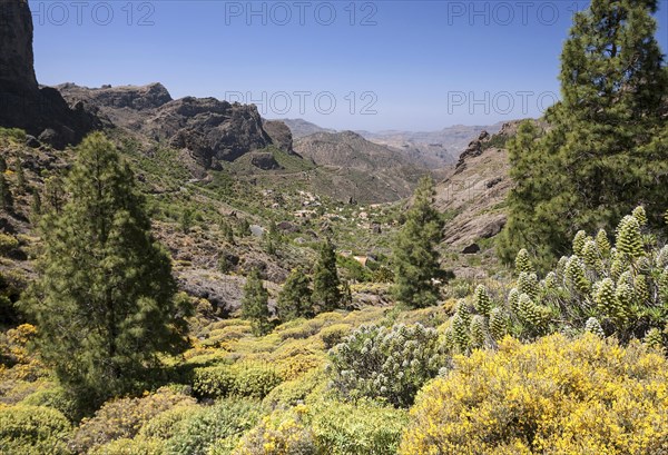 View of the hiking route to Roque Nublo