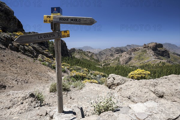 Hiking signpost on a hiking path to Roque Nublo