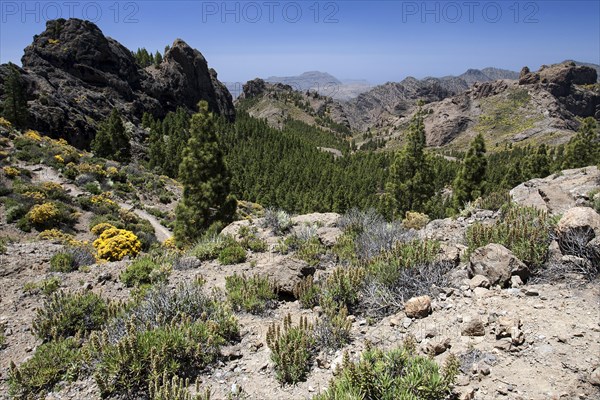 View from the hiking route to Roque Nublo Mountain to the west of Gran Canaria