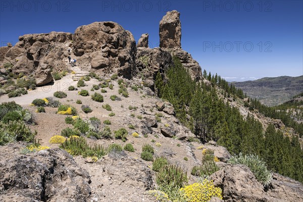 Roque Nublo