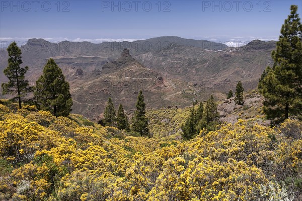 View from the trail to the Roque Nublo