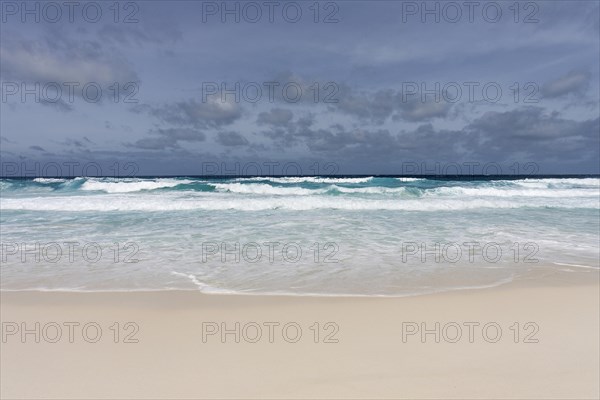 Beach and the sea