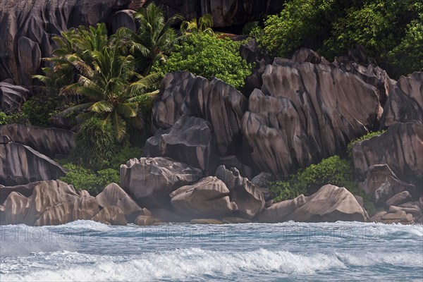 Sea with granite rocks and palm trees