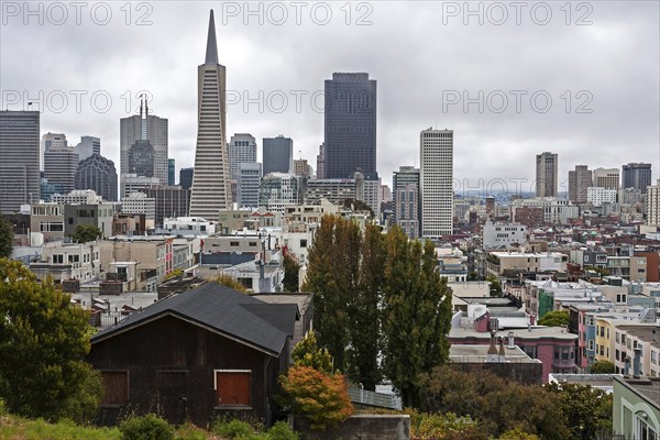 View of financial district from Telegraph Hill