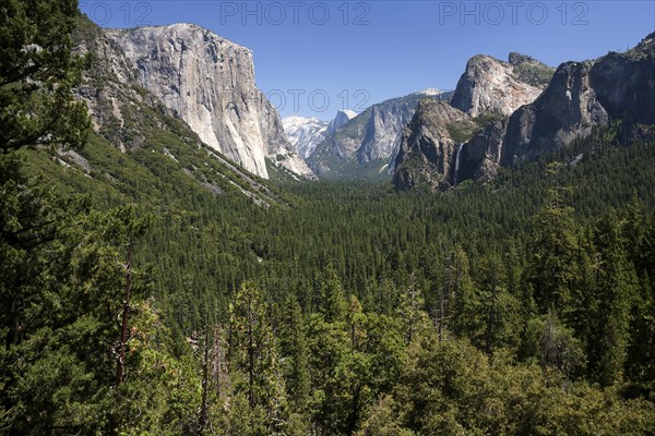 View into Yosemite Valley from Tunnel View