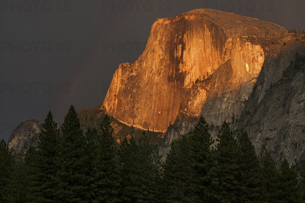 Half Dome illuminated by setting sun