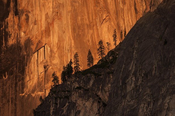 Half Dome northwest face illuminated by setting sun