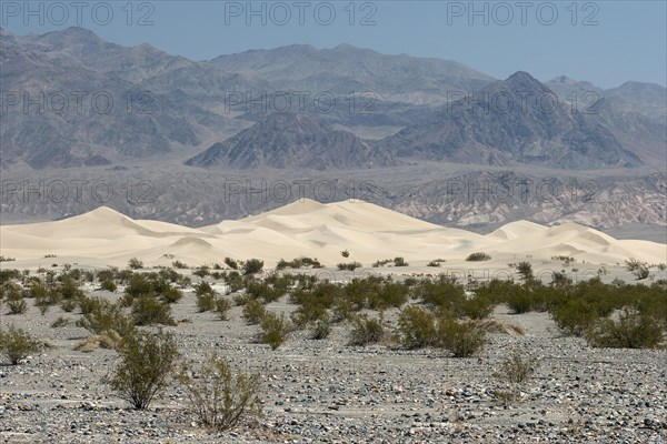 Mesquite Flat Sand Dunes