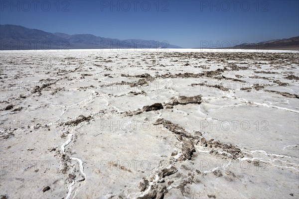 Salt crust in Badwater Basin salt pan