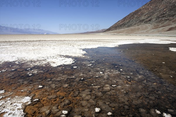 Salt crust in Badwater Basin salt pan