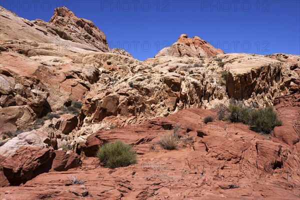 Coloured sandstone formations at Rainbow Vista